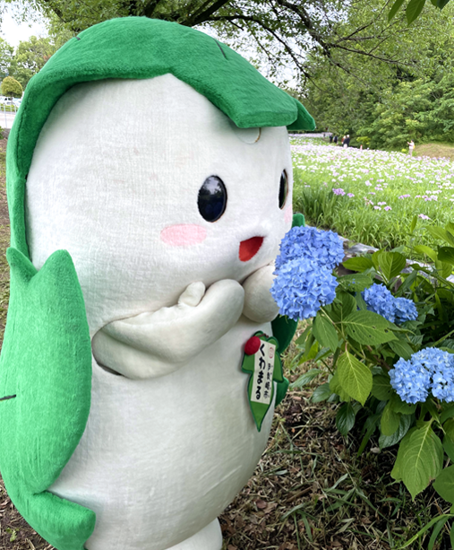 くわまるの詳細情報 | ゆるナビ